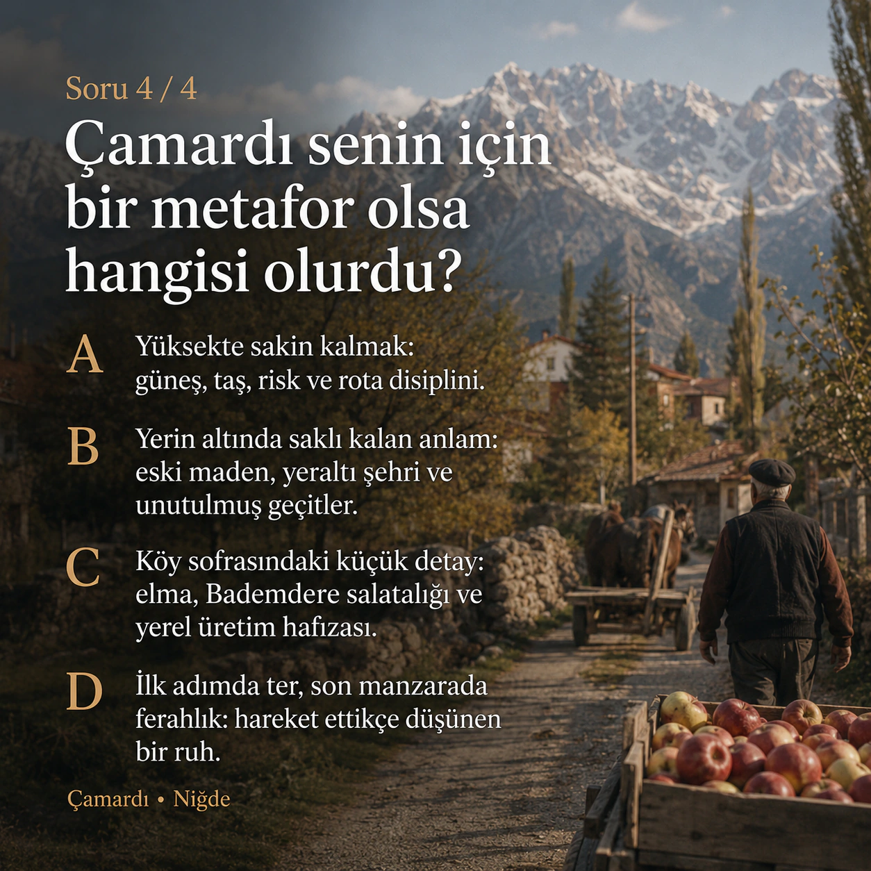 Çamardı senin için bir metafor olsa hangisi olurdu?
